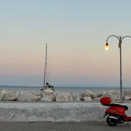 Zeytin Dali Ayvacik (Canakkale)