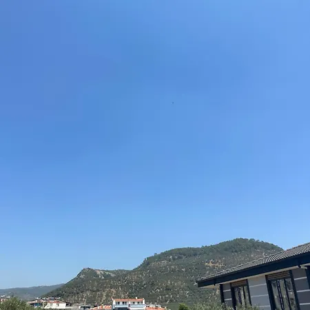 Apartment Zeytin Dali