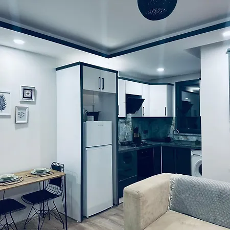 Zeytin Dali Ayvacik (Canakkale)