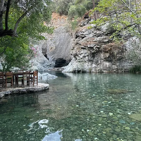 Zeytin Dali Ayvacik (Canakkale)